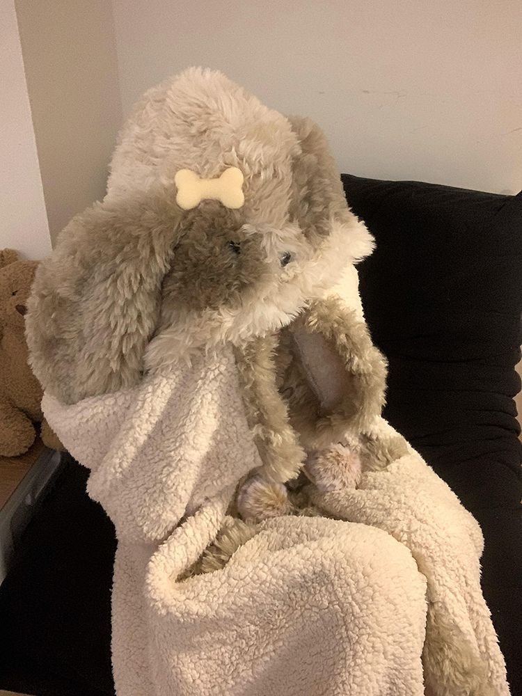 キュートな子犬耳付きフードモコモコ冬用ルームウェアパジャマレディース珊瑚フリース暖かガウン可外着セット