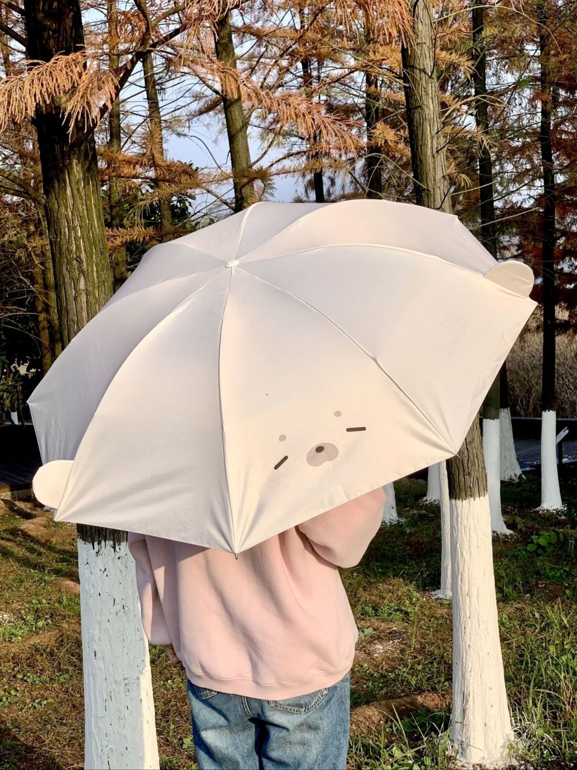 Cute and grown-up folding seal umbrella for all weather conditions 